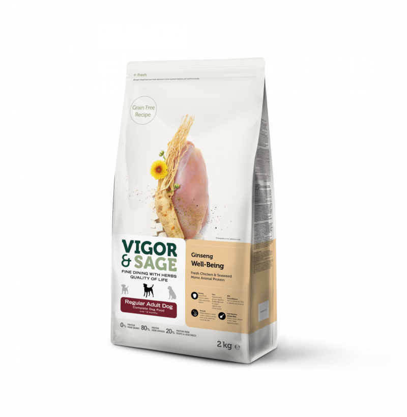 Ginseng Well-Being Regular Adult Dog