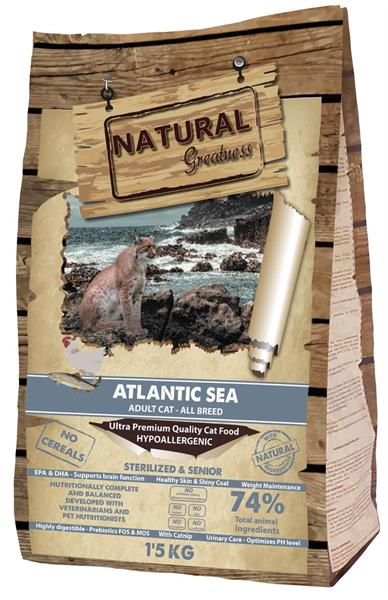 Natural Greatness Atlantic Sea