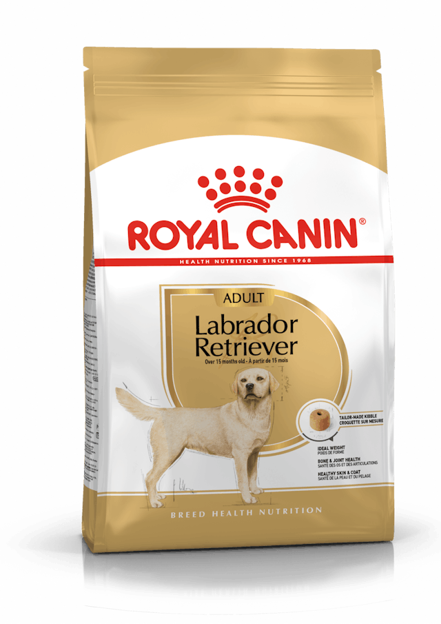Royal Canin Labrador Retriever Adult