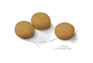 Royal Canin Maxi Dermacomfort forkuler Royal Canin Maxi Dermacomfort forkuler