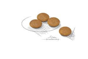 Royal Canin Mini Dermacomfort forkuler Royal Canin Mini Dermacomfort forkuler