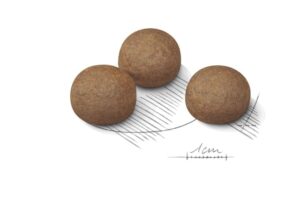 Royal Canin Maxi Digestive Care forkuler Royal Canin Maxi Digestive Care forkuler