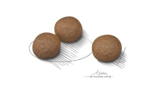 Royal Canin Medium Digestive Care forkuler Royal Canin Medium Digestive Care forkuler