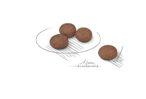 Royal Canin Mini Digestive care forkuler Royal Canin Mini Digestive care forkuler