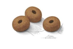 Royal Canin Maxi Light Weight Care forkuler Royal Canin Maxi Light Weight Care forkuler