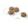 Royal Canin Mini Sterilised forkuler