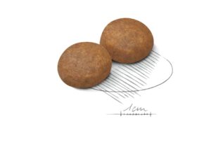 Royal Canin Maxi Adult 5+ forkuler Royal Canin Maxi Adult 5+ forkuler