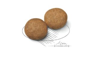 Royal Canin Medium Adult forkuler Royal Canin Medium Adult forkuler