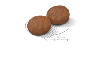 Royal Canin medium Adult 7+ forkuler Royal Canin medium Adult 7+ forkuler