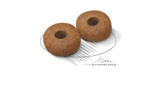 Royal Canin Medium Ageing 10+ forkuler Royal Canin Medium Ageing 10+ forkuler