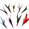 Da Bird refill