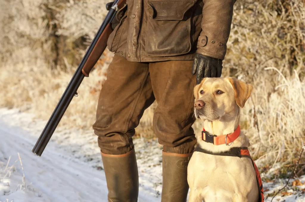 ha med til hunden i jaktsekken