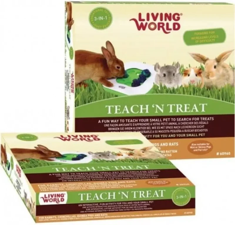 Living World 3 in 1 Teach n treat