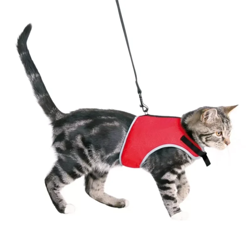 Kattesele soft m/kobbel One Size