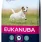 Eukanuba Adult Small Breed