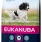 Eukanuba Adult Medium Breed