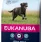 Eukanuba Adult Large Breed