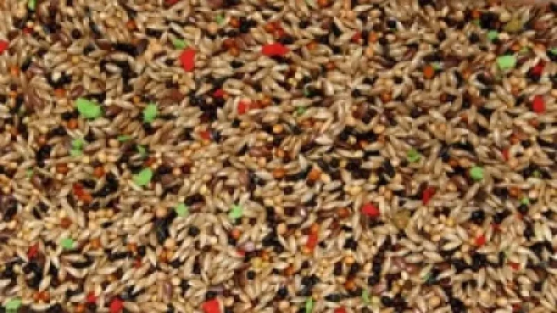Bello kanariblanding 5kg