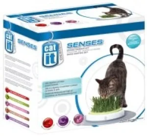 Catit senses Kattegress stasjon