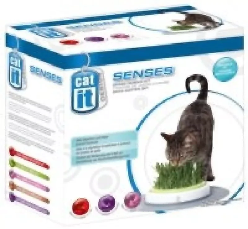 Catit senses Kattegress stasjon