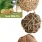 JR Farm natur ball-trio