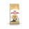 Royal Canin Persian kattemat