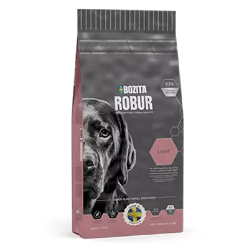 Robur Light