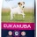 Eukanuba Senior Small Breed