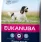Eukanuba Mature Medium Breed