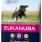 Eukanuba Junior Large Breed
