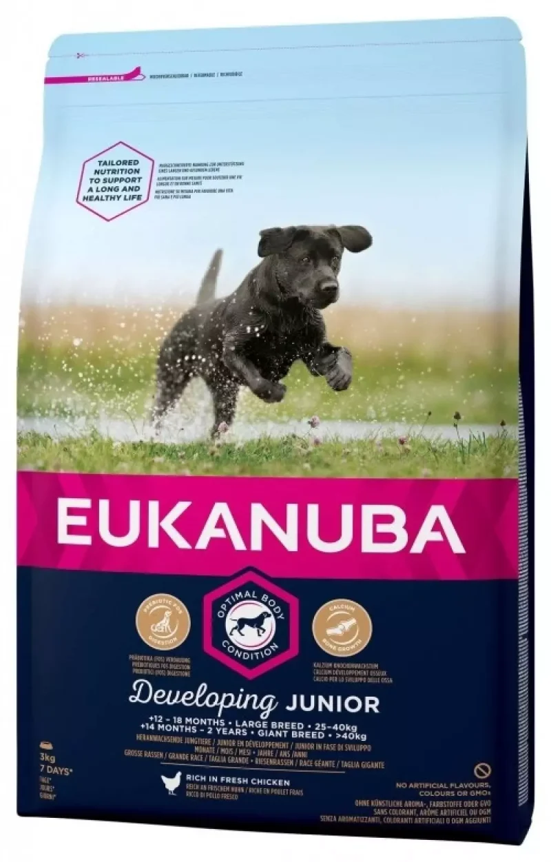 Eukanuba Junior Large Breed