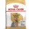 Royal Canin Yorkshire terrier adult