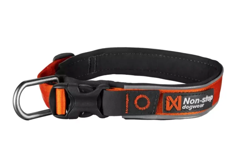 Hundehalsbånd Roam Oransje