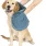 Dirty Dog Shammy Pacific Blue