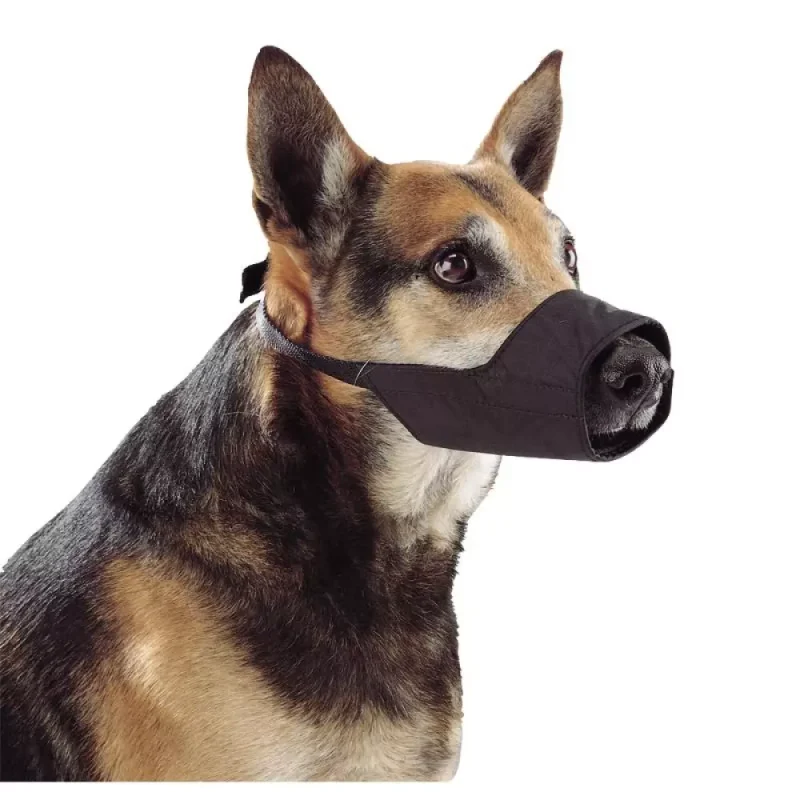 Munnkurv til hund