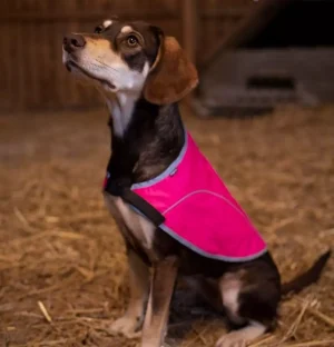 Refleksvest Rex Rosa