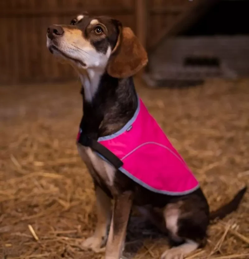 Refleksvest Rex Rosa