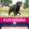 Eukanuba Senior Large Breed