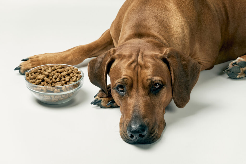 KRESEN HUND
