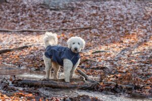 9c49fe10-f24b-48d1-a2f5-c9deabd2fd10 9c49fe10-f24b-48d1-a2f5-c9deabd2fd10