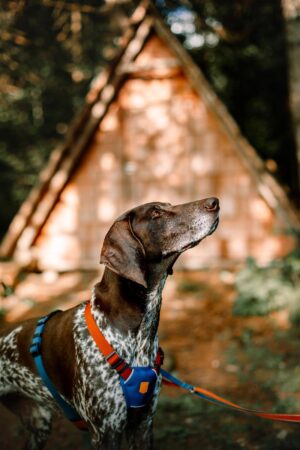 v02_2AE02F30BD787084583EE6FB2F9D30AC v02_2AE02F30BD787084583EE6FB2F9D30AC