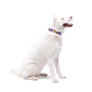 v02_37789B4384395362F688920A79892EE1 v02_37789B4384395362F688920A79892EE1