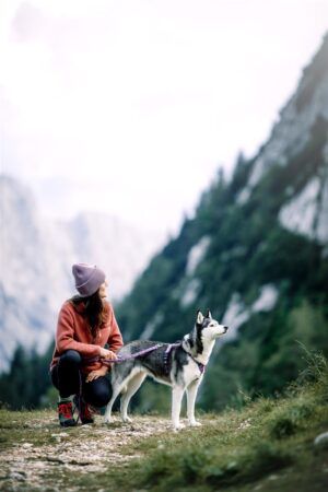 v02_82B9A4E0DB04E73A65DD536FD3AE683F-2 v02_82B9A4E0DB04E73A65DD536FD3AE683F-2