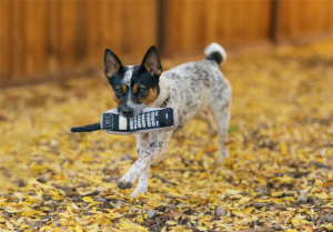 v02_9B5A9F536B04E1D74A004D7446C99980 v02_9B5A9F536B04E1D74A004D7446C99980