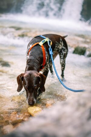 v02_CD2A757C1AE8137716907175201C6BFE v02_CD2A757C1AE8137716907175201C6BFE