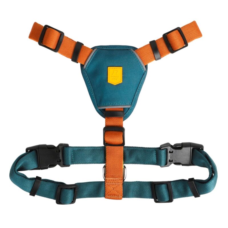 Hundesele Color Block Terracotta
