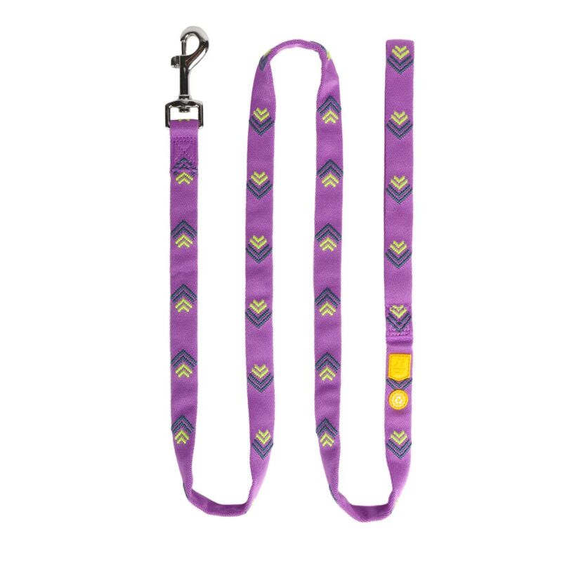 Hundekobbel Northern Lights Leash