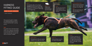 HarnessFittingGuide_WEB-6 HarnessFittingGuide_WEB-6