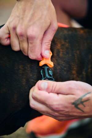 rush_harness_feature_1 rush_harness_feature_1