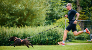 rush_harness_mood_1 rush_harness_mood_1